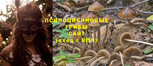 дурь Алексеевка