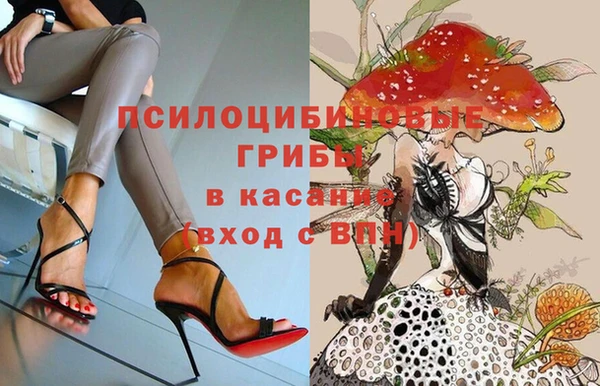 ECSTASY Алексин