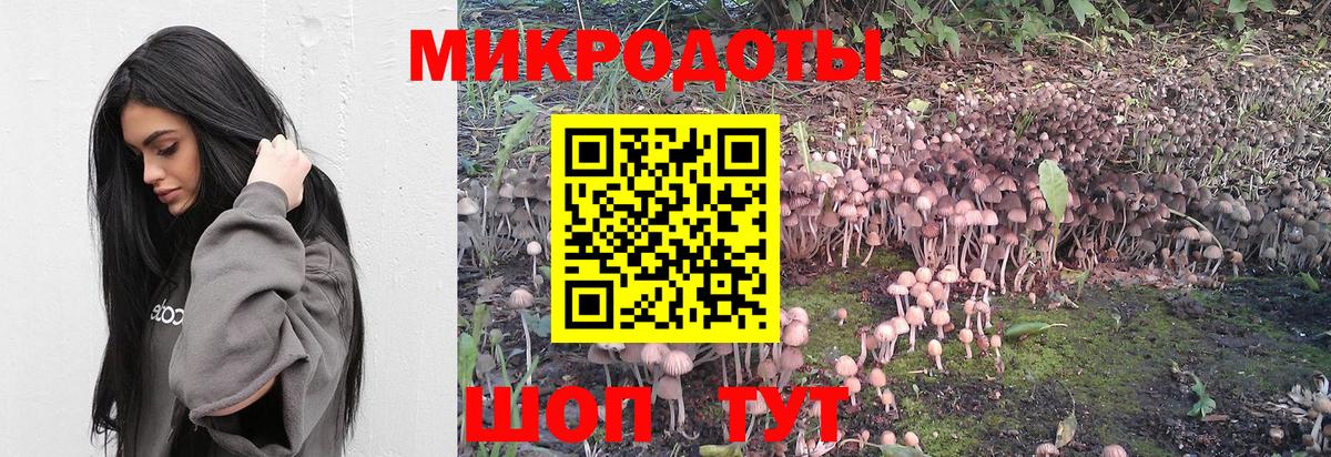 Галлюциногенные грибы прущие грибы Джанкой