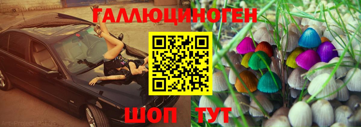 Джанкой  Псилоцибиновые грибы MAGIC MUSHROOMS  Вход с VPN 